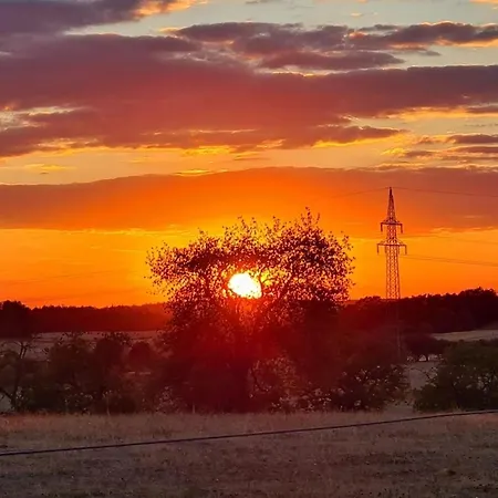 Im Garten Eden Грюнберг
